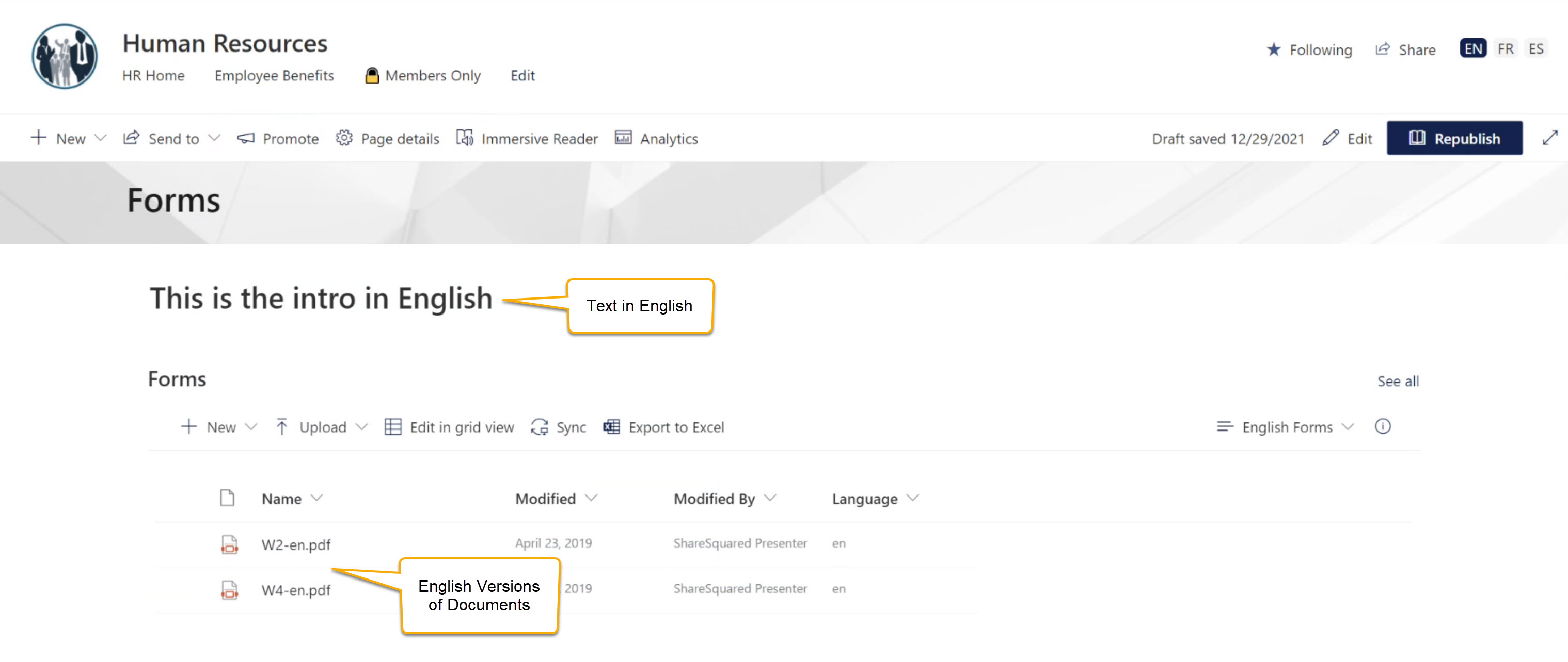 Language Specific Library View - English.jpg